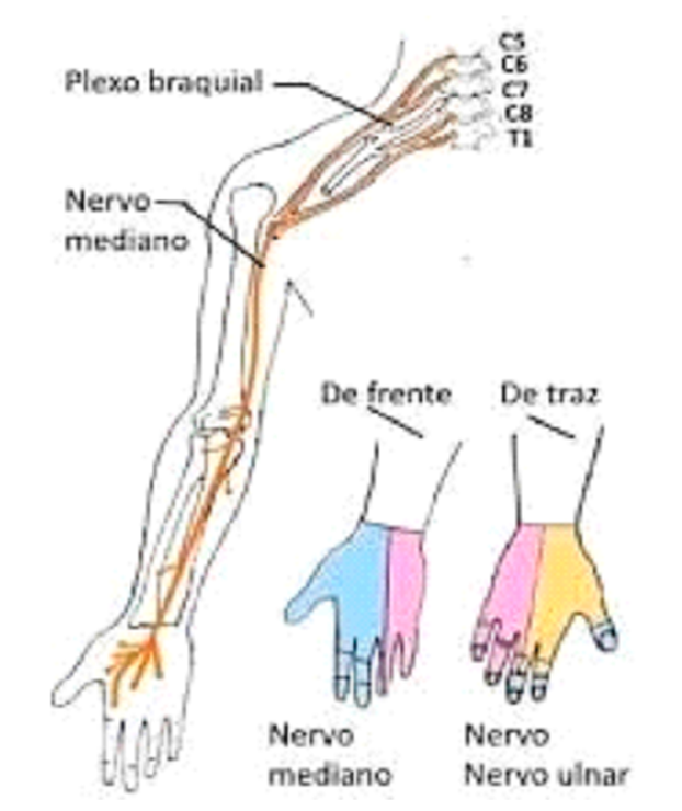 Excelência em Neurofisiologia e Reabilitação Diagnóstico preciso, tecnologia de ponta e cuidado humanizado. AGENDAR EXAME AGORA Especialistas em Saúde Neurológica há 19 anos Na Cliner, unimos inovação e experiência para oferecer diagnósticos neurológicos confiáveis e tratamentos eficazes. Contamos com um time altamente qualificado e equipamentos de última geração para garantir a melhor assistência aos nossos