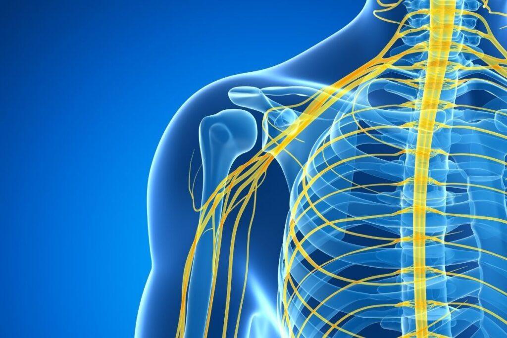Excelência em Neurofisiologia e Reabilitação Diagnóstico preciso, tecnologia de ponta e cuidado humanizado. AGENDAR EXAME AGORA Especialistas em Saúde Neurológica há 19 anos Na Cliner, unimos inovação e experiência para oferecer diagnósticos neurológicos confiáveis e tratamentos eficazes. Contamos com um time altamente qualificado e equipamentos de última geração para garantir a melhor assistência aos nossos