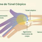 Excelência em Neurofisiologia e Reabilitação Diagnóstico preciso, tecnologia de ponta e cuidado humanizado. AGENDAR EXAME AGORA Especialistas em Saúde Neurológica há 19 anos Na Cliner, unimos inovação e experiência para oferecer diagnósticos neurológicos confiáveis e tratamentos eficazes. Contamos com um time altamente qualificado e equipamentos de última geração para garantir a melhor assistência aos nossos