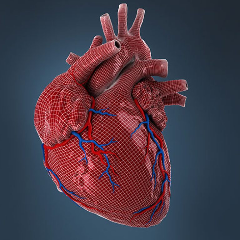Excelência em Neurofisiologia e Reabilitação Diagnóstico preciso, tecnologia de ponta e cuidado humanizado. AGENDAR EXAME AGORA Especialistas em Saúde Neurológica há 19 anos Na Cliner, unimos inovação e experiência para oferecer diagnósticos neurológicos confiáveis e tratamentos eficazes. Contamos com um time altamente qualificado e equipamentos de última geração para garantir a melhor assistência aos nossos