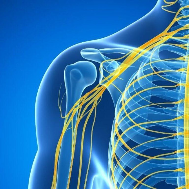 Excelência em Neurofisiologia e Reabilitação Diagnóstico preciso, tecnologia de ponta e cuidado humanizado. AGENDAR EXAME AGORA Especialistas em Saúde Neurológica há 19 anos Na Cliner, unimos inovação e experiência para oferecer diagnósticos neurológicos confiáveis e tratamentos eficazes. Contamos com um time altamente qualificado e equipamentos de última geração para garantir a melhor assistência aos nossos